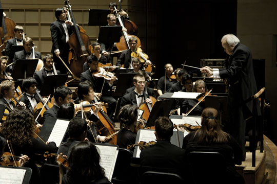 The Meadows Orchestra under the direction of Paul Phillips